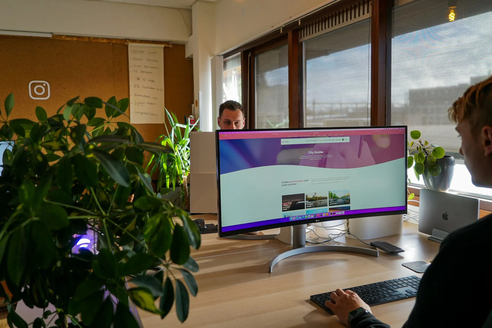 An accountant working at a desk with a monitor and plants